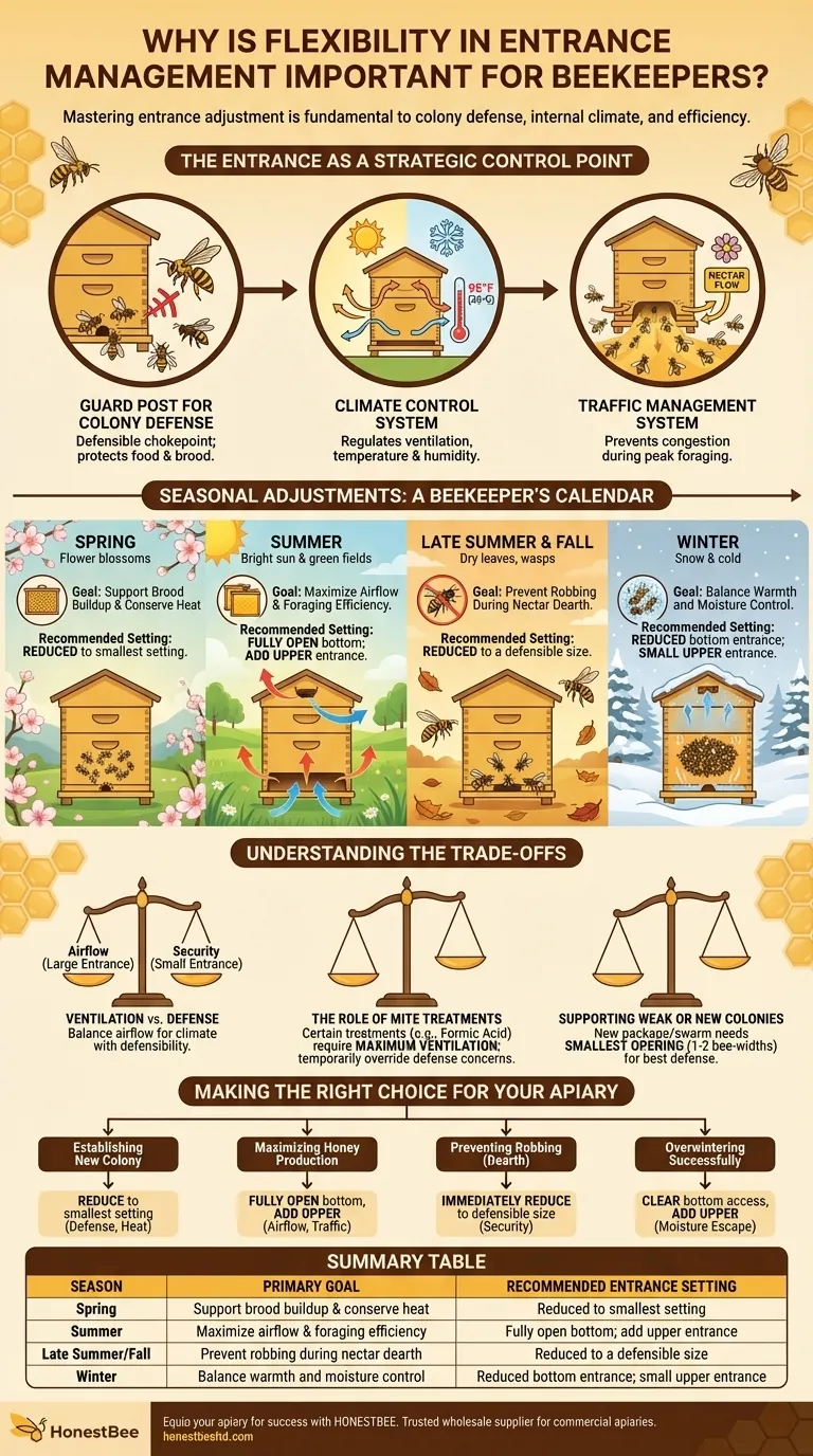Por que a flexibilidade no manejo da entrada é importante para os apicultores? Domine o Controle Sazonal da Colmeia Guia Visual