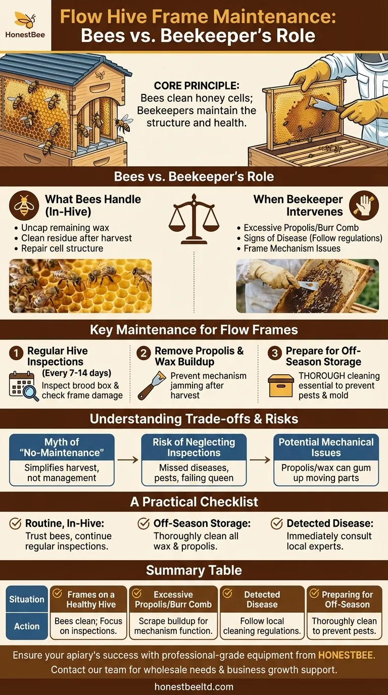 È necessario pulire i telaini Flow Hive? Una guida alla corretta manutenzione per alveari sani Guida Visiva