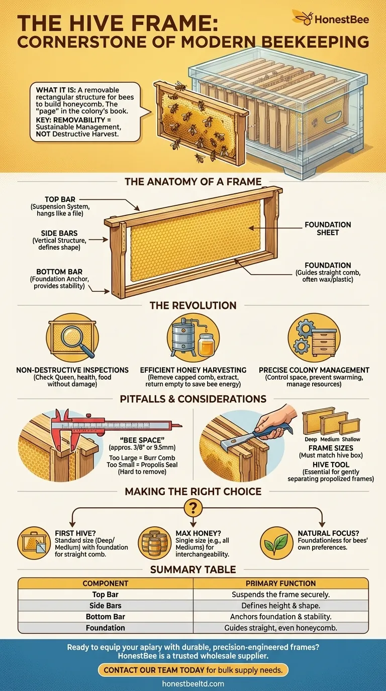 What is a hive frame? The Key to Modern, Sustainable Beekeeping Visual Guide