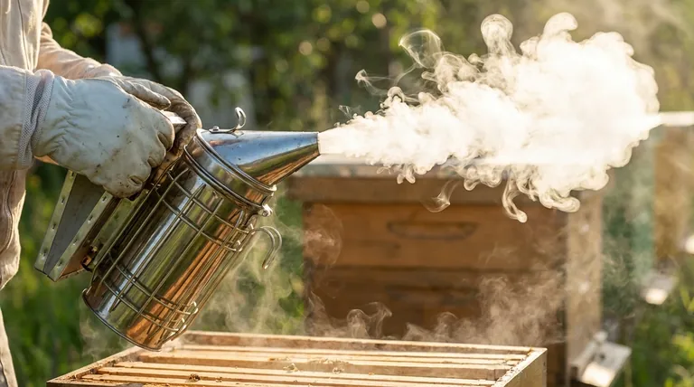 如何正确地点燃熏蜂器?掌握燃料和气流,以获得平静、凉爽的烟雾