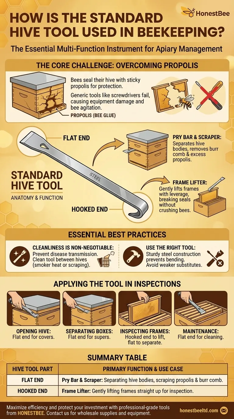 标准蜂具在养蜂中如何使用？掌握蜂箱管理要领 图解指南