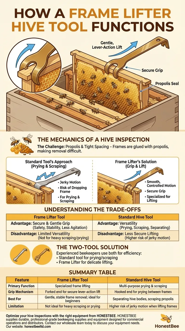 Como funciona a ferramenta de colmeia com levantador de quadros? Remoção Segura e Suave de Quadros Mestre Guia Visual