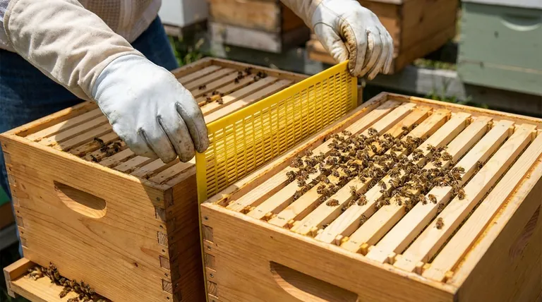 Should queen excluders be used in Flow hives? A Critical Guide for a Clean Harvest