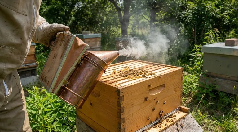 What is the purpose of a bee smoker? Essential for Safe and Calm Hive Management