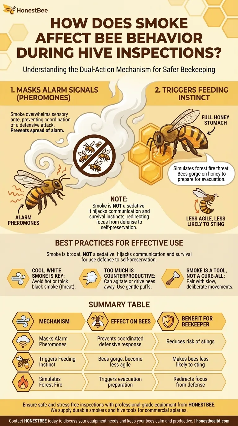 煙は巣箱の検査中にミツバチの行動にどのように影響しますか？より安全な検査のために燻煙器を使いこなしましょう ビジュアルガイド