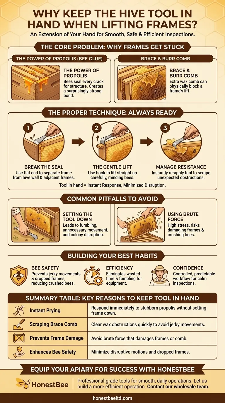 Por que é importante manter a ferramenta de colmeia na mão ao levantar os quadros? Domine Inspeções Suaves e Seguras Guia Visual