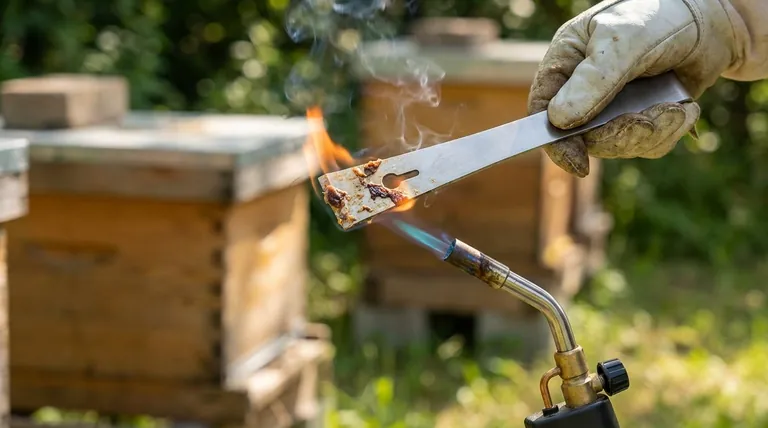 ¿Por qué es importante limpiar las herramientas de la colmena entre usos en diferentes colmenas? Prevenir la propagación de enfermedades en su apiario