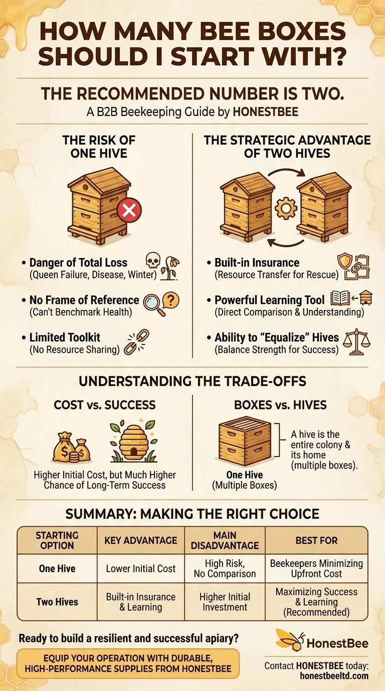벌통을 몇 개로 시작해야 할까요? 두 개의 벌통으로 성공을 높이세요 시각적 가이드