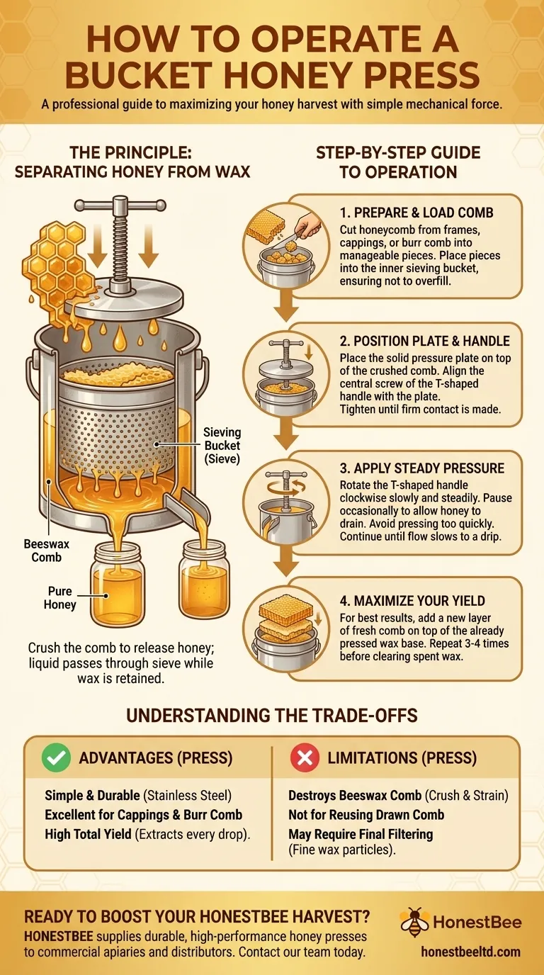 What are the steps to operate a bucket honey press? Maximize Your Honey Yield with Simple Mechanical Force Visual Guide