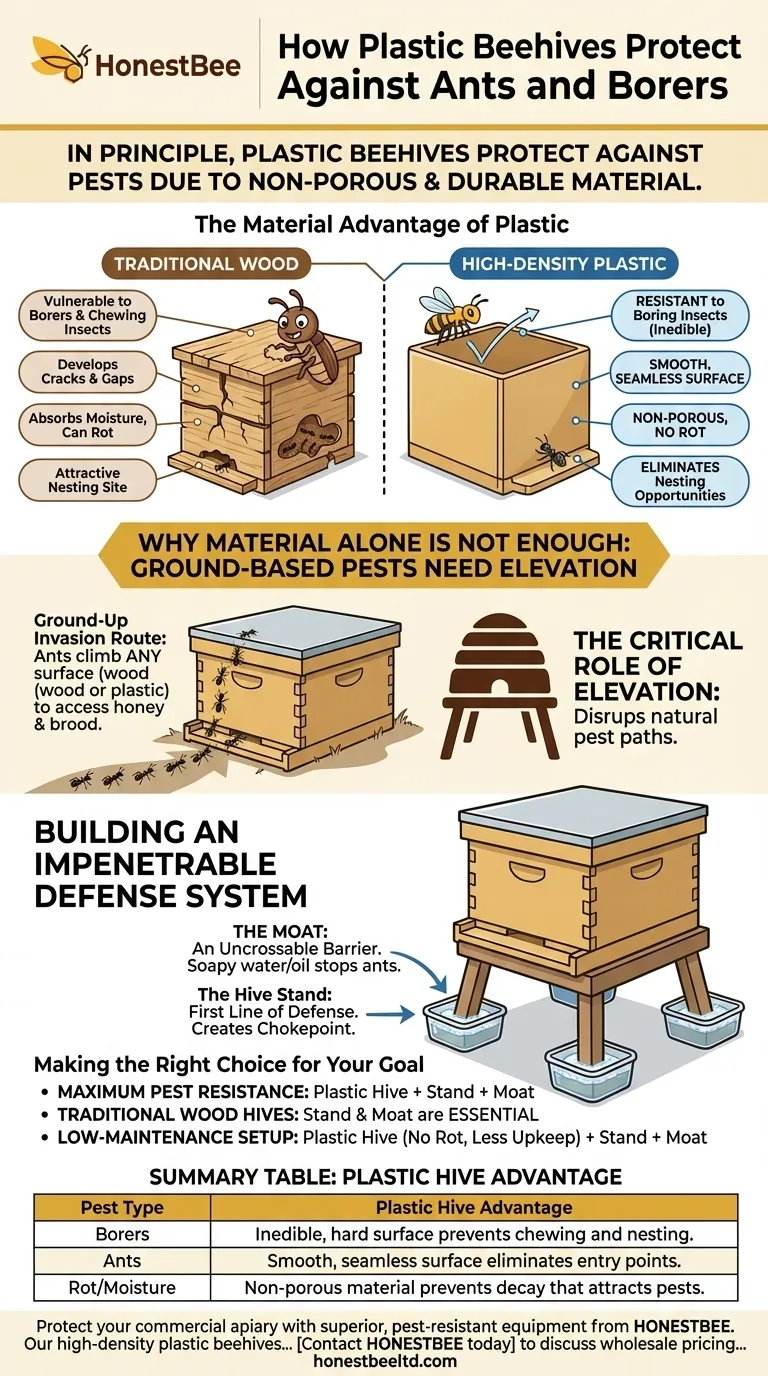 Comment les ruches en plastique protègent-elles contre les fourmis et les insectes perceurs ? Un guide sur la résistance inhérente aux nuisibles Guide Visuel