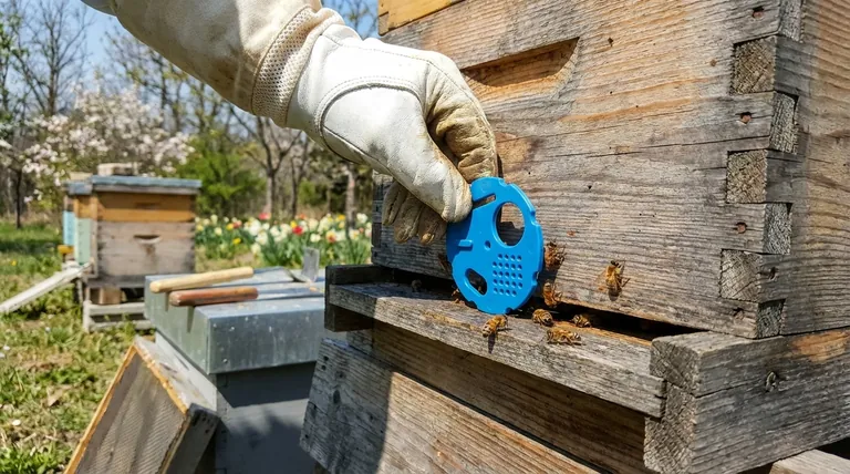 How do entrance blocks benefit a beehive? A Guide to Stronger Hive Defense and Health