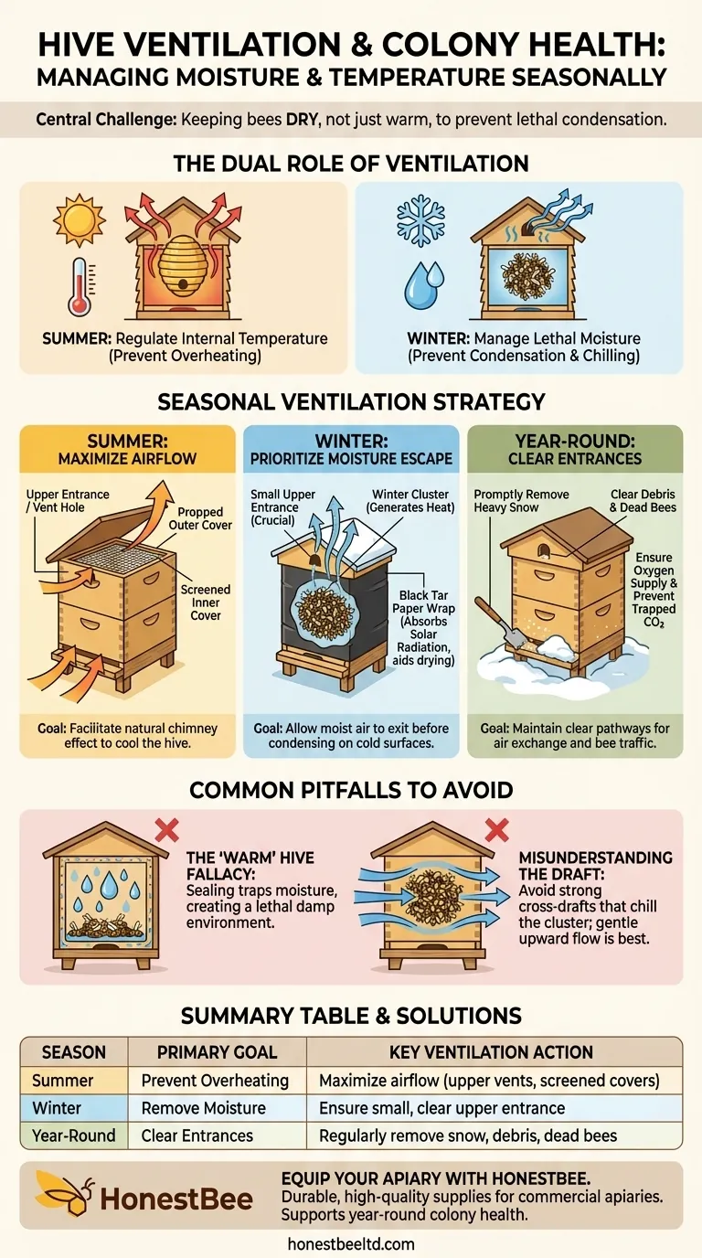 How does ventilation affect colony health, and how should it be managed seasonally? A Guide to Preventing Moisture & Overheating Visual Guide