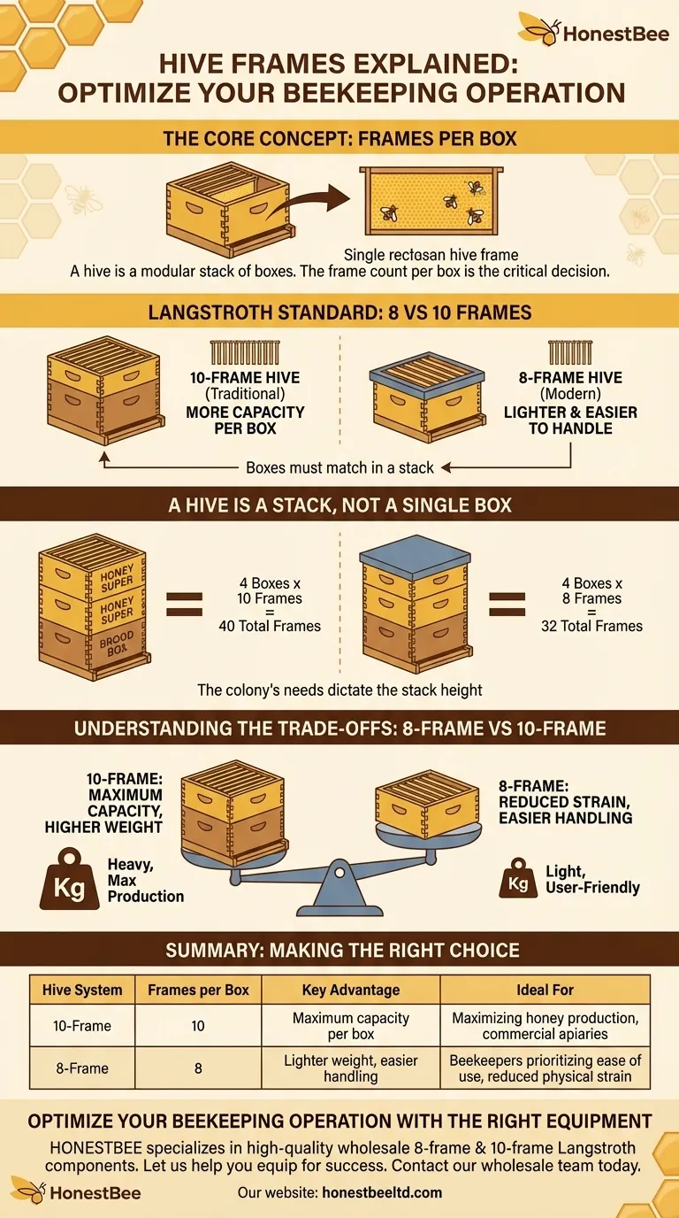How many frames are in a hive? Choose the Right 8-Frame or 10-Frame System for Your Apiary Visual Guide