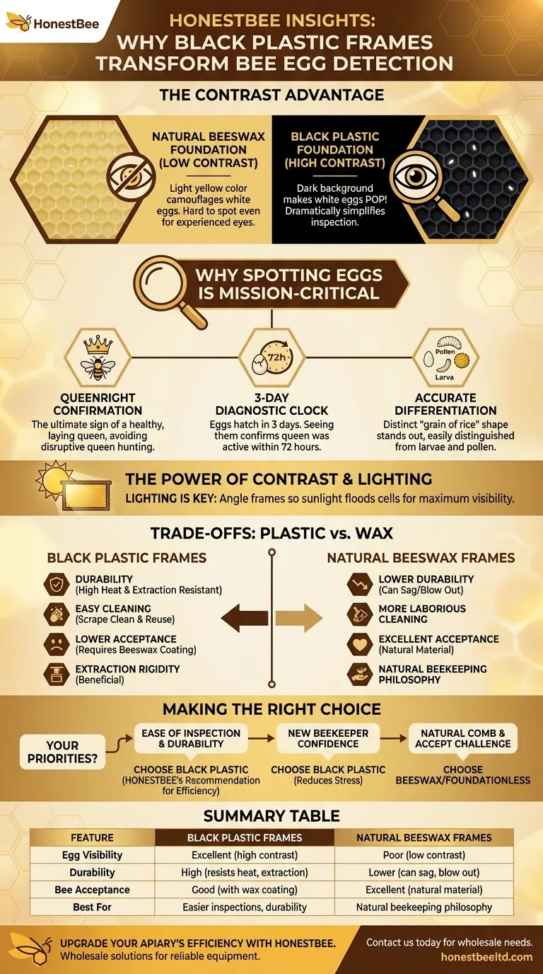 How do plastic hives help in spotting bee eggs? Boost Your Hive Inspection Success Visual Guide