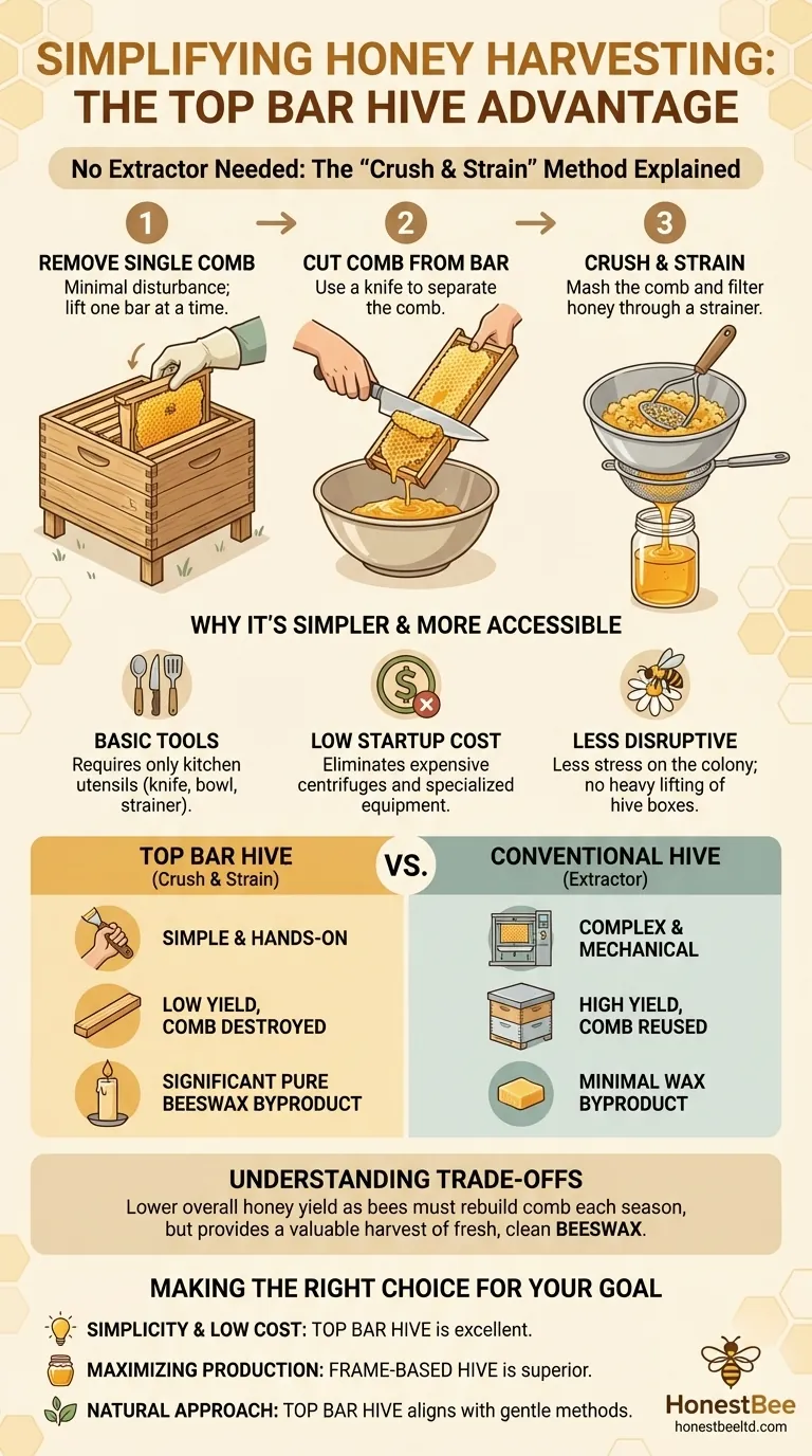 How does the top bar hive simplify honey harvesting? A Low-Tech, Beginner-Friendly Guide Visual Guide