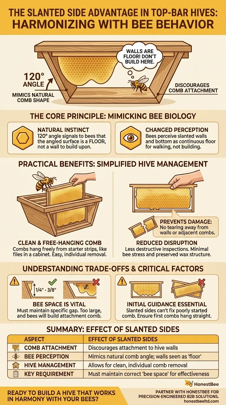 How do slanted sides in a top-bar hive affect comb construction? Achieve Easier, Less Disruptive Hive Inspections Visual Guide