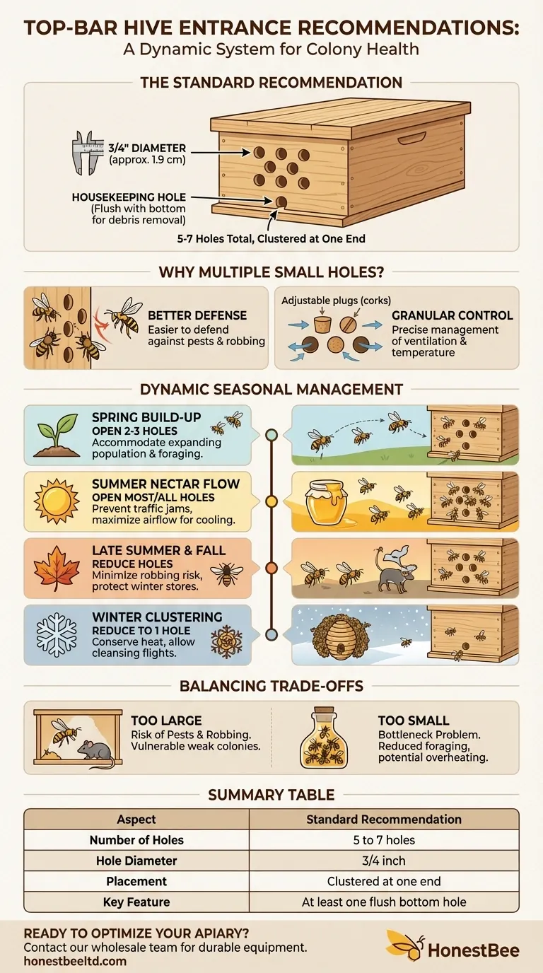 탑바형 벌통의 입구 구멍에 대한 권장 사항은 무엇인가요? 동적 벌통 관리 가이드 시각적 가이드