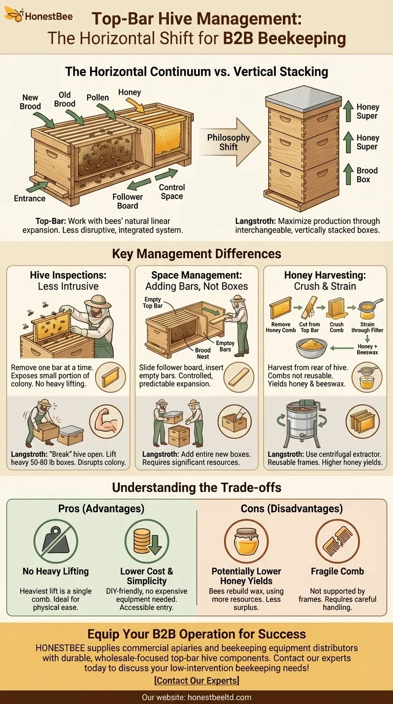 탑바 벌통의 벌집 관리는 어떻게 다른가요? 자연적이고 영향이 적은 양봉 가이드 시각적 가이드