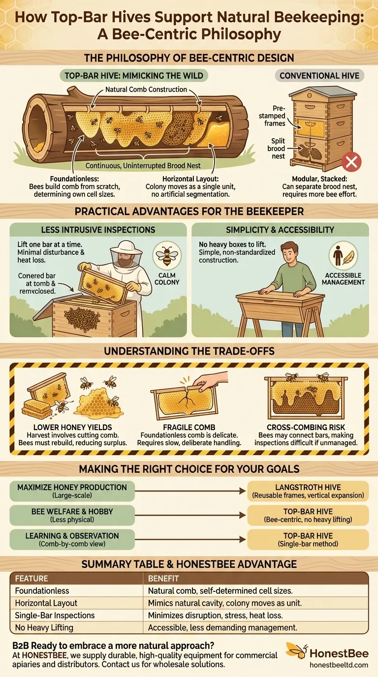 How do top-bar hives support natural beekeeping? A Guide to Bee-Centric, Low-Intervention Apiculture Visual Guide