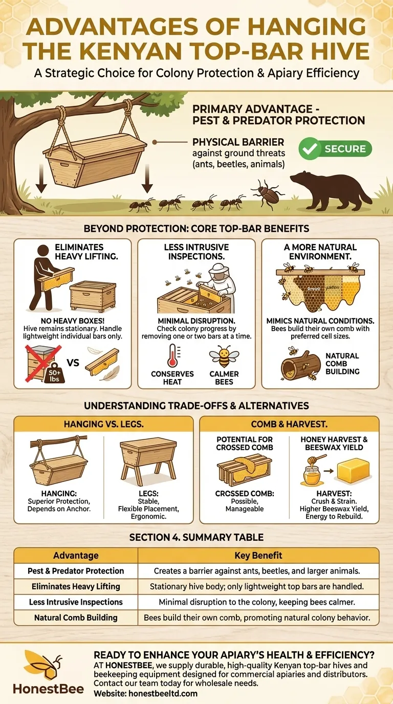 What are the advantages of hanging the Kenyan top-bar hive? Superior Pest Protection for Your Colony Visual Guide