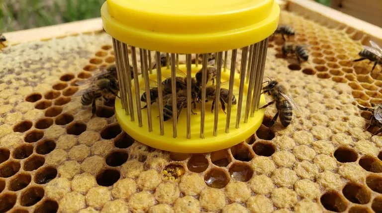 Какие меры предосторожности следует соблюдать при использовании вдавливаемых клеточек? Обеспечьте безопасное подсаживание матки