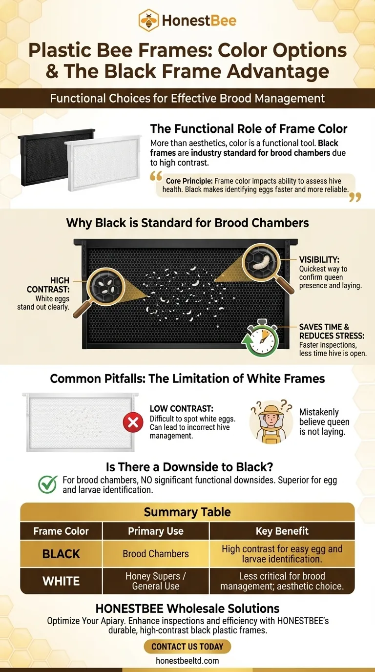 Quelles sont les options de couleur disponibles pour les cadres en plastique, et quel est l'avantage des cadres noirs ? Améliorez l'efficacité de vos inspections de ruche Guide Visuel