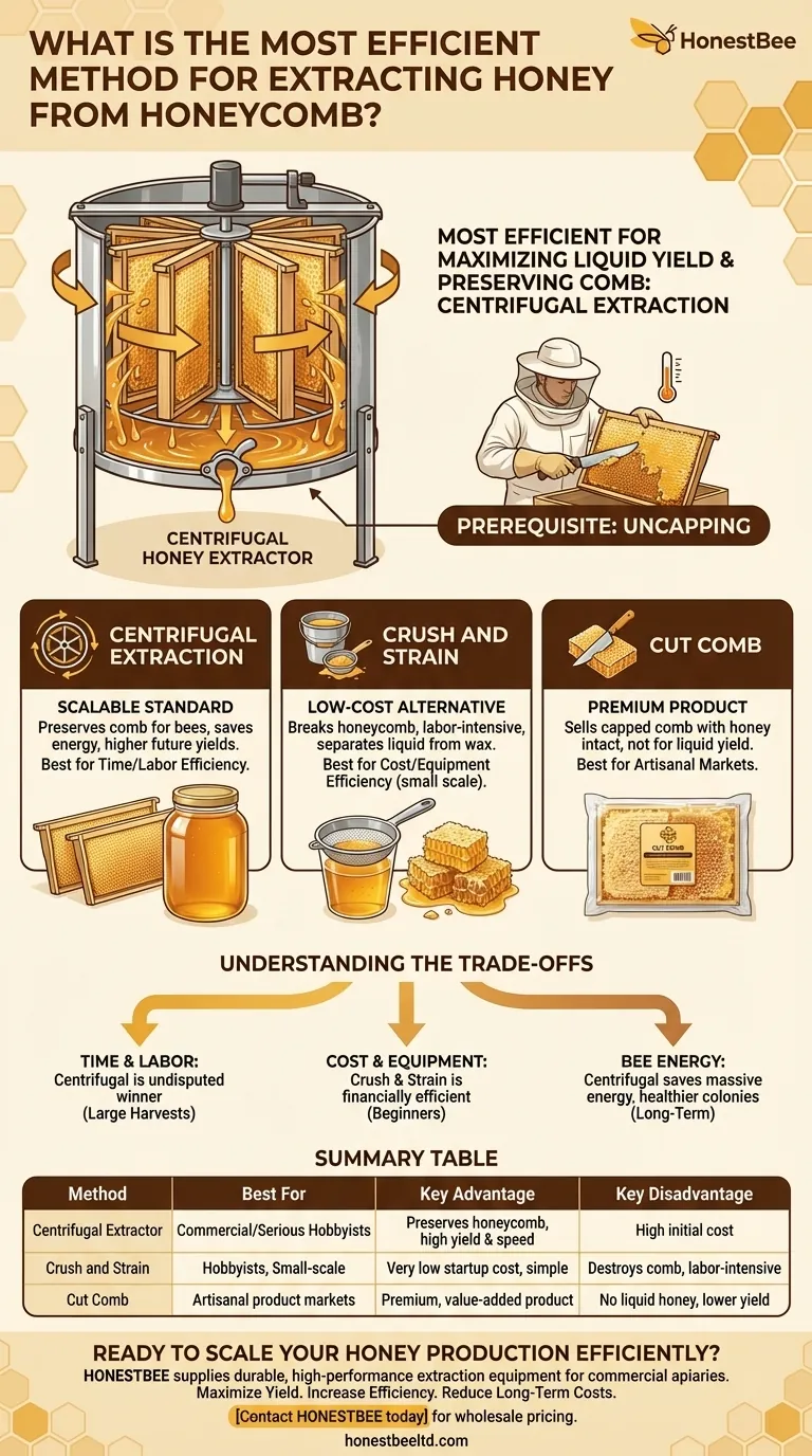 What is the most efficient method for extracting honey from honeycomb? Maximize Yield & Preserve Comb Visual Guide