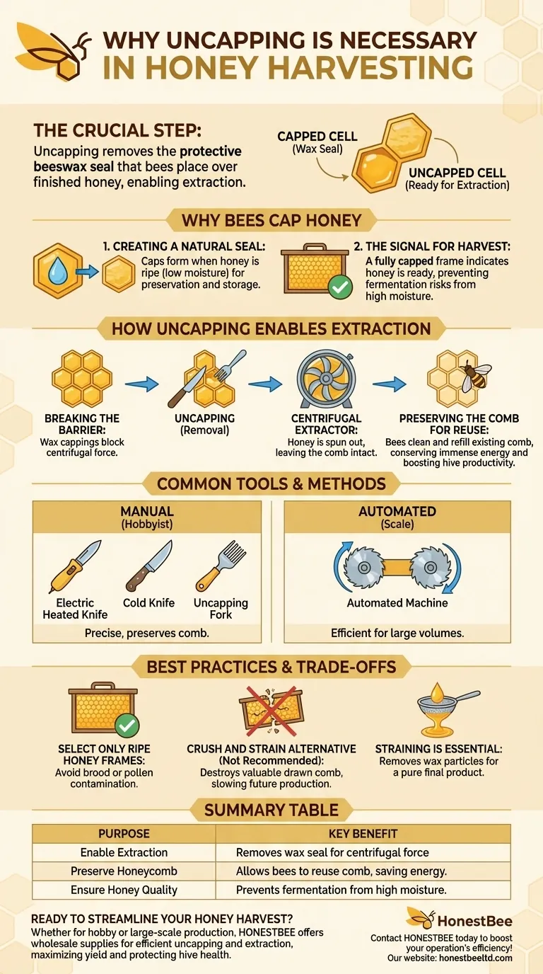 لماذا يعتبر نزع الشمع ضرورياً في حصاد العسل؟ افتح إنتاجك من العسل وحافظ على الأقراص الشمعية دليل مرئي
