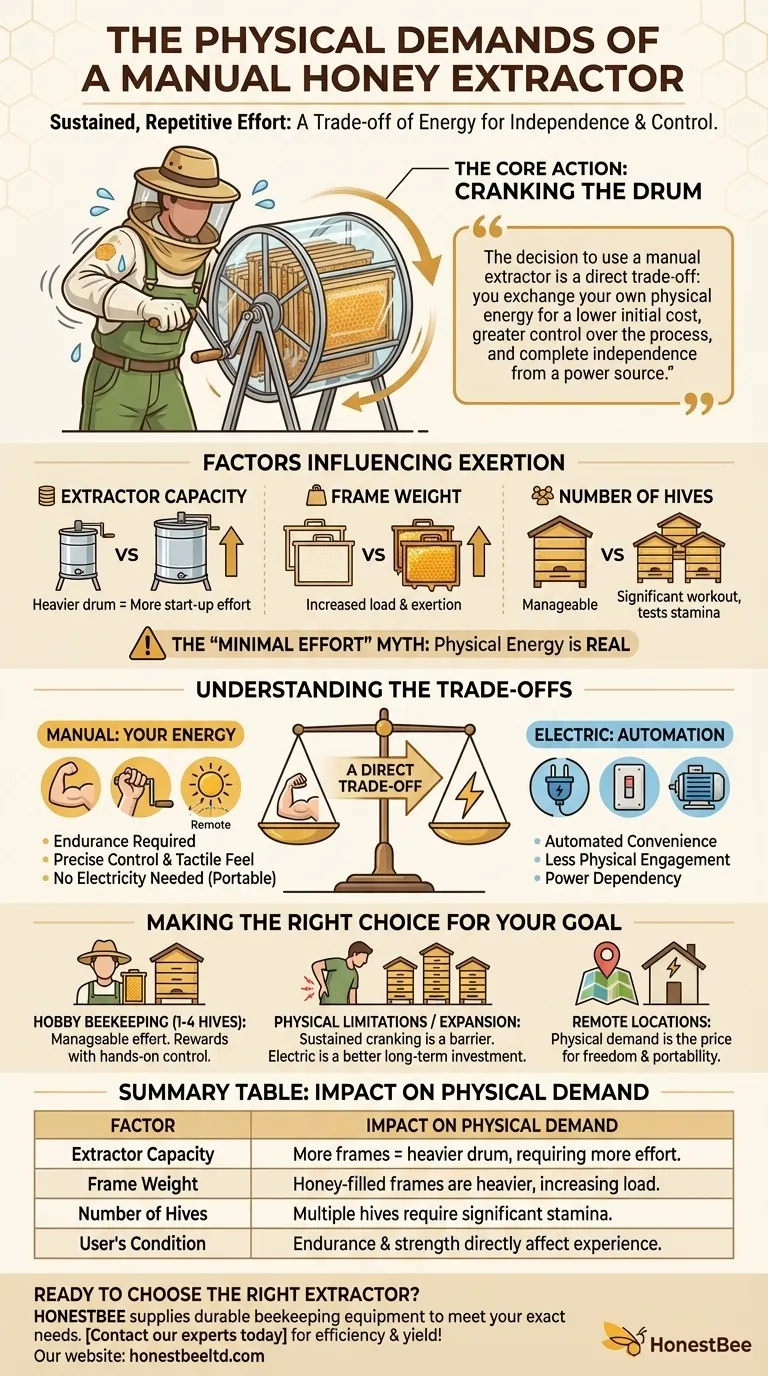 What are the physical demands of a manual honey extractor? A Guide to Effort vs. Reward Visual Guide