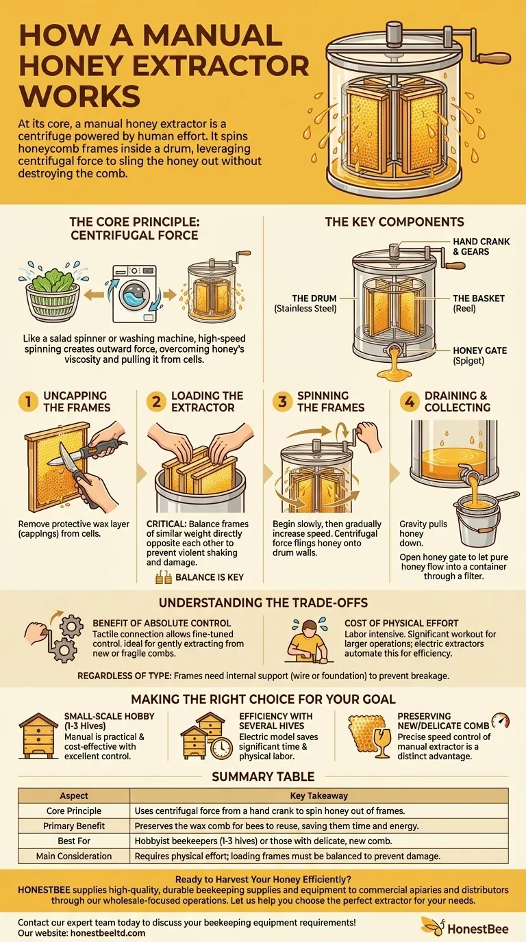How does a manual honey extractor work? A Guide to Gentle, Efficient Honey Harvesting Visual Guide