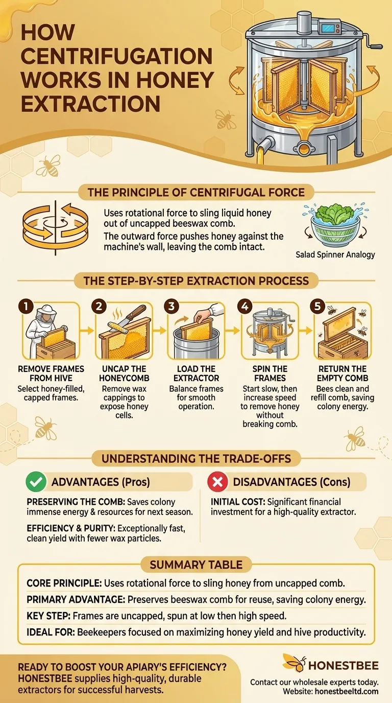 How does centrifugation work in honey extraction? The Sustainable Method for Modern Beekeepers Visual Guide