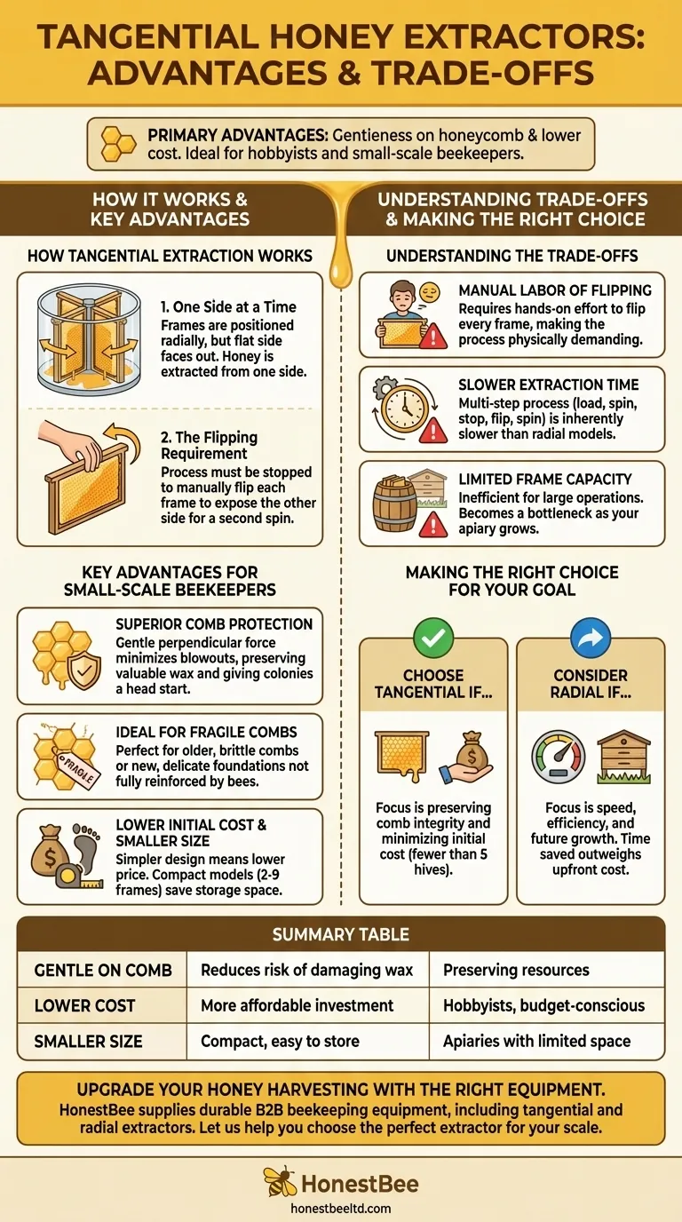 What are the advantages of tangential extractors? Gentle, Budget-Friendly Honey Extraction Visual Guide