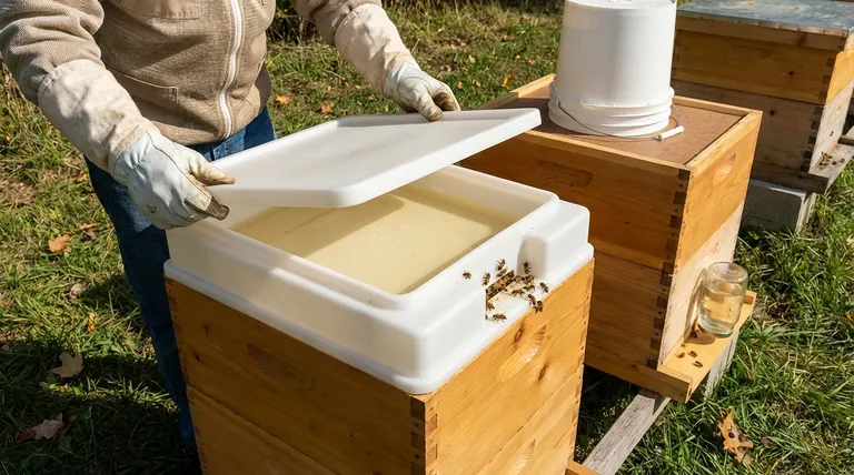 Quais são as considerações gerais ao escolher um alimentador de abelhas? Garanta a Saúde e Eficiência da Colônia