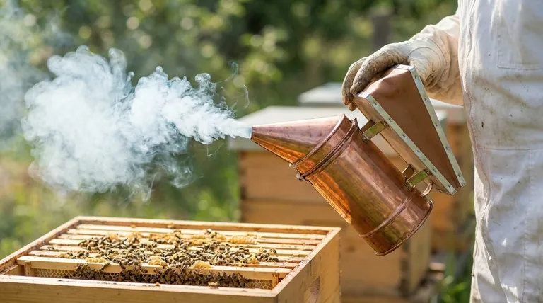 为什么在烟熏器中使用明火很重要,需要避免?确保蜜蜂安全和蜂巢健康