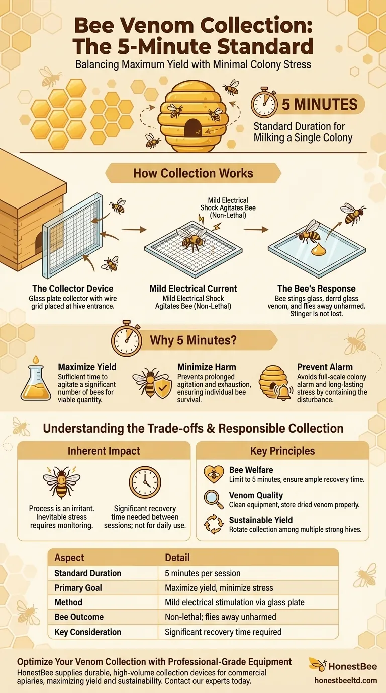 How long is each colony of bees 'milked' for venom collection? The 5-Minute Rule for Sustainable Harvesting Visual Guide