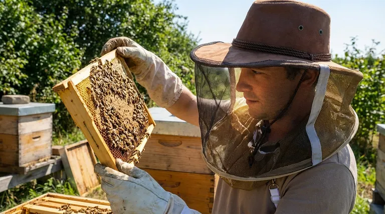 What is the purpose of the high visibility veil on the beekeeping hat? Ensure Maximum Safety and Clarity