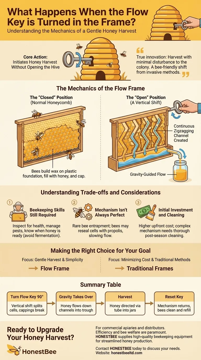 转动蜂箱中的Flow Key（流转钥匙）会发生什么？一次温和的、即时取蜜的体验 图解指南