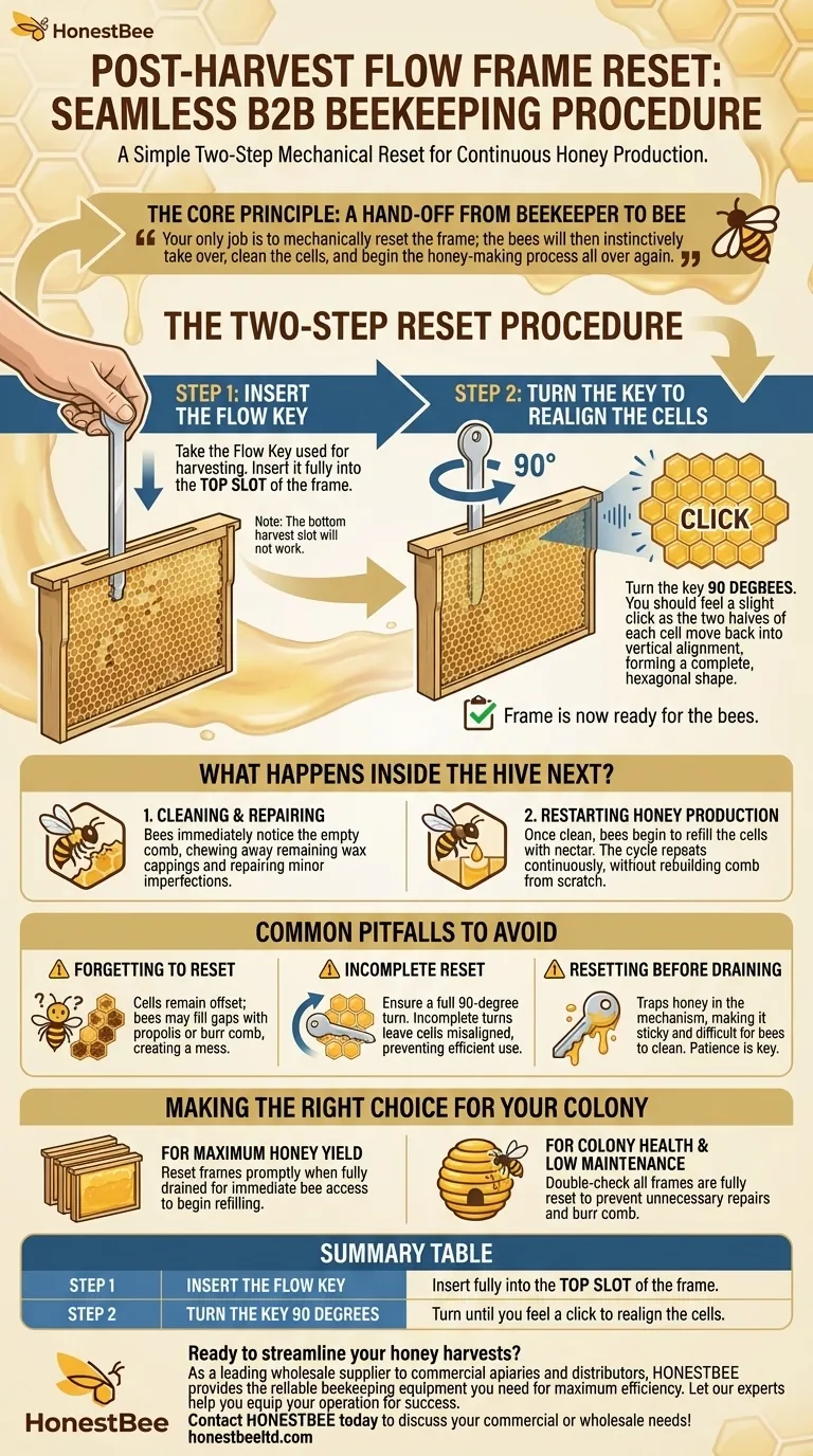 What is the procedure after honey has finished draining from Flow Frames? A Simple 2-Step Reset for Continuous Harvests Visual Guide