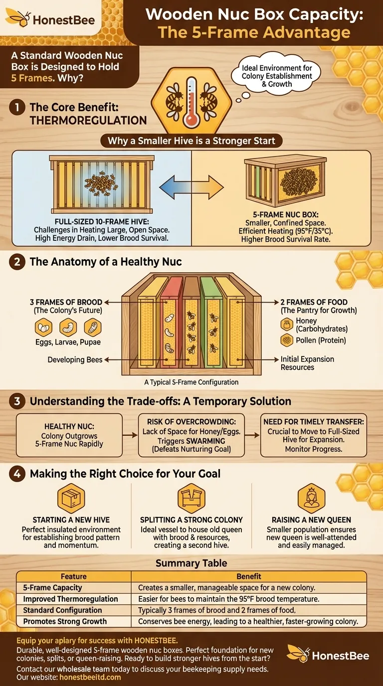 How many frames does a wooden nuc box typically hold? Discover the 5-Frame Advantage for Healthy Hives Visual Guide