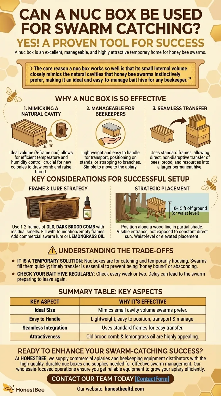 군집 상자를 벌 떼 포획에 사용할 수 있습니까? 양봉가를 위한 효과적이고 관리하기 쉬운 해결책 시각적 가이드