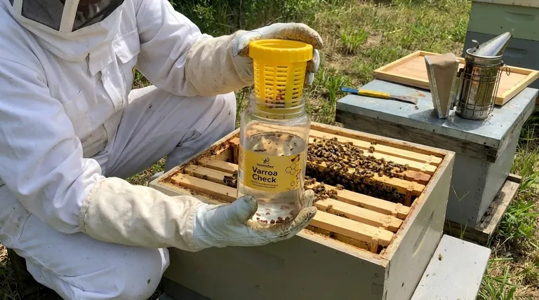 What additional information does the guide provide about varroa mites? A Complete Framework for Sustainable Management