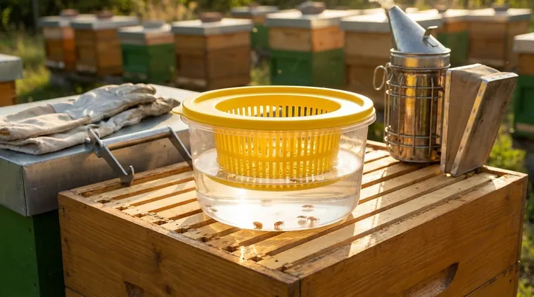 What are the key features of the Varroa EasyCheck design? Streamline Your Mite Monitoring for Accuracy