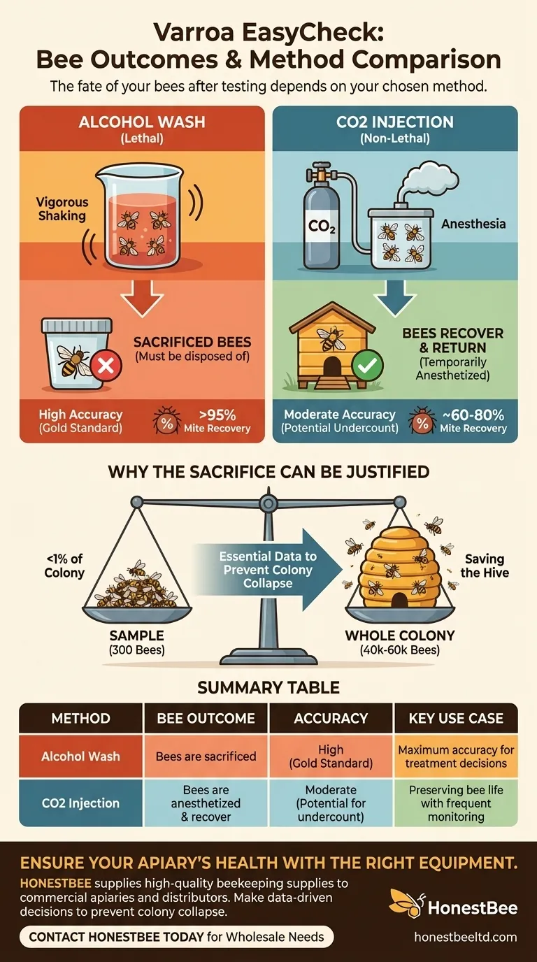 What happens to the bees after using the Varroa EasyCheck? Choose the Right Method for Your Hive Visual Guide