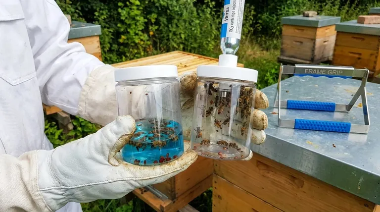 What happens to the bees after using the Varroa EasyCheck? Choose the Right Method for Your Hive