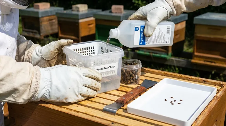 Il liquido utilizzato nel Varroa EasyCheck può essere riutilizzato? Evita conteggi imprecisi di acari e proteggi i tuoi alveari