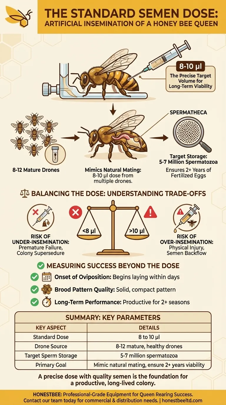 What is the standard semen dose for AI of a honey bee queen? Master the 8-10 µl Precision for Longevity Visual Guide