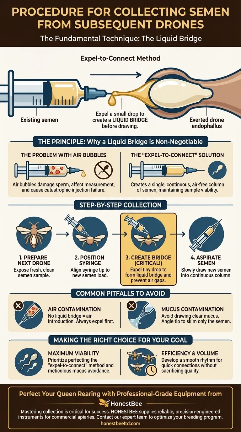 ما هي طريقة جمع السائل المنوي من ذكور النحل اللاحقة؟ أتقن طريقة "الطرد للوصل" دليل مرئي