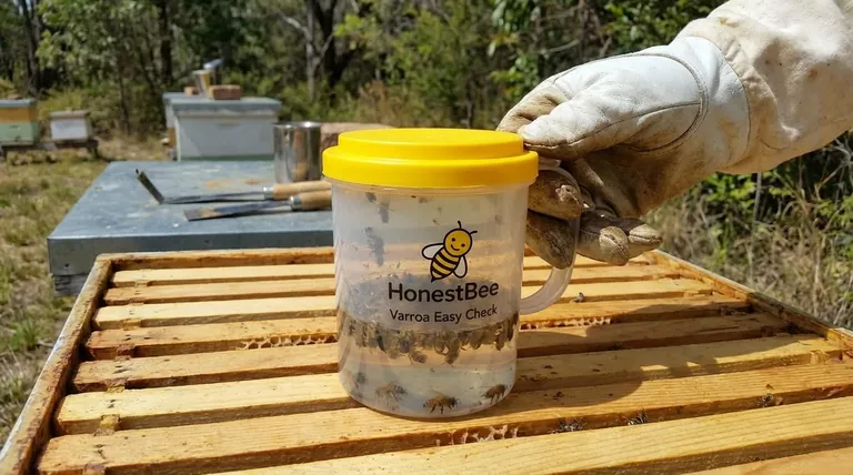 Was sind die Ziele der Überwachung des Varroamilbenbefalls? Proaktives Bienenstockmanagement für gesündere Völker