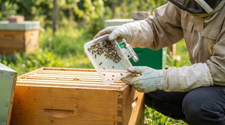 ミツバチを殺さずに高精度を実現する、バロア（ミツバチヘギイタダニ）モニタリングのためのCO2注入法の利点は何ですか？