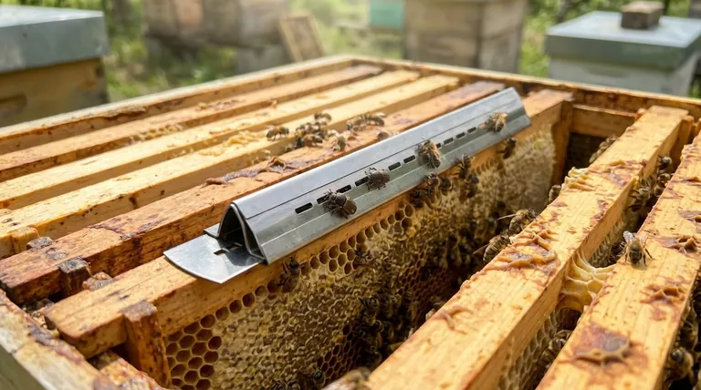 What are the chemical-free options for trapping hive beetles? Control Pests Without Chemicals